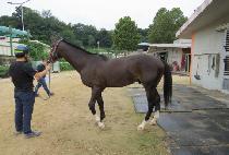 �¸��ٷο��� (SEUNGNI BAROWS) ����