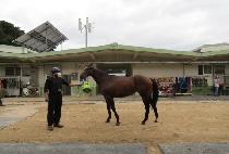 ����Ǯ��� (WONDERFUL ALONG) ����