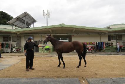 ����Ǯ��� ����