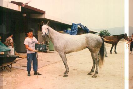 �޼��� ����