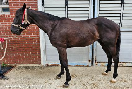 �긮���̶�Ŭ ����