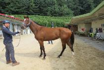 ����־��� (RAON JEWELSTONE) ����