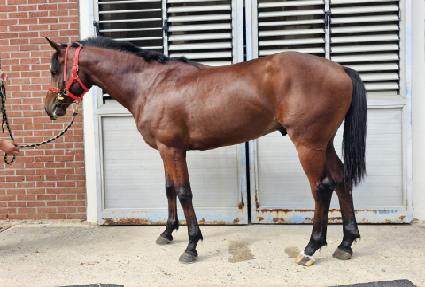 ���� ����