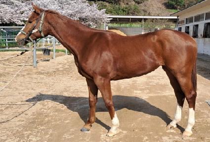 ũ�翤�� ����