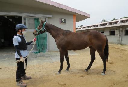 ����ũ�ο� ����