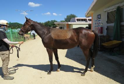 ����Ʈ�־� ����