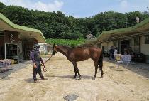 ĸƾ������ (CAPTAIN RISE) ����