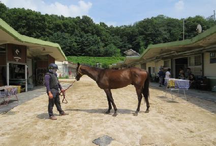 ĸƾ������ ����