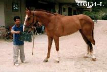 �� (SANG DEUNG SEUK) ����