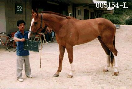 �� ����