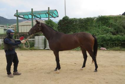 ����Ʈ���� ����