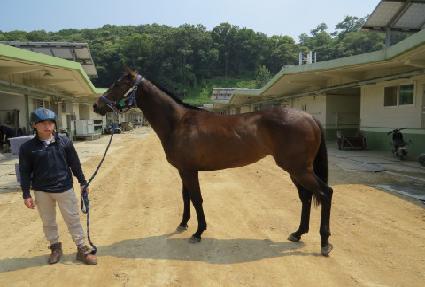 �쿵�� ����