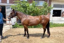 �����ǵ帲 (A HAPPY DREAM) ����