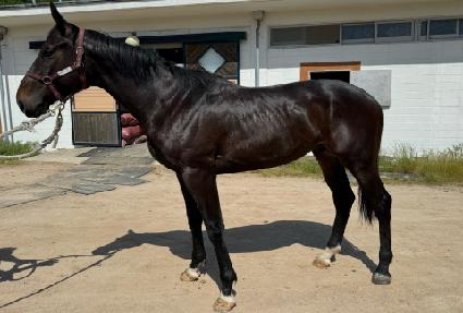 ����Ʈŷ ����