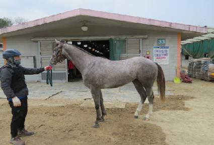 ĸƾ������ ����