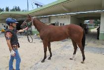 ����Ÿ�� (UNJU TIME) ����