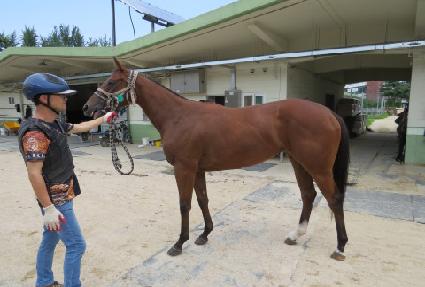 ����Ÿ�� ����