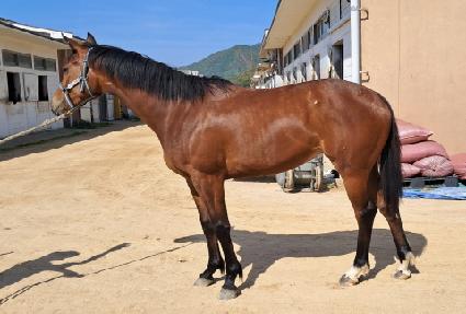 Ȧ�������� ����