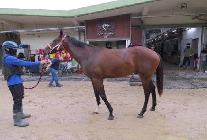 �׷����� ����