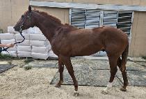 �ε����м� (ROAD TO PASSION) ����