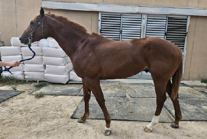 �ε����м� ����