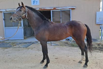 ���̳���Ʈ ����