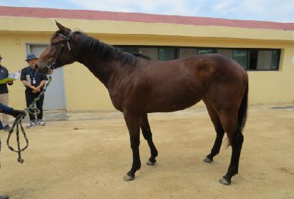 ����Ʈ���� ����