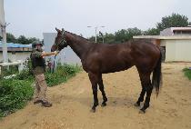 �ݺ����� (GEUMBIT RUNNER) ����