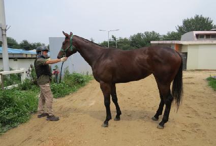 �ݺ����� ����