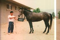 ����� (PAN JANG WON) ����