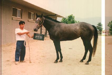 ����� ����