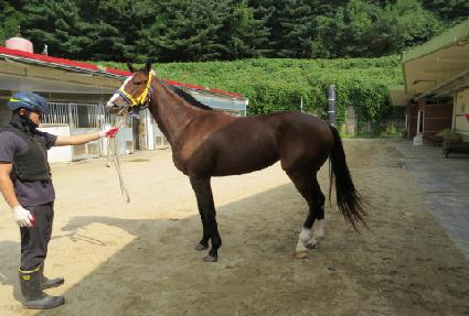 ��»��Ϸ��� ����