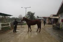 ���嵵��Ƽ (WITH DORTIE) ����