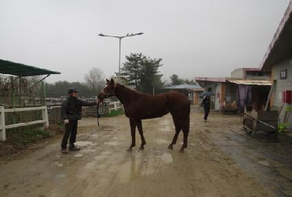 ���嵵��Ƽ ����