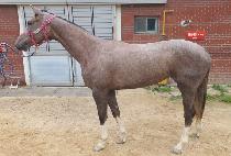 ȭ��Ʈ�� (WHITE GIRL) ����