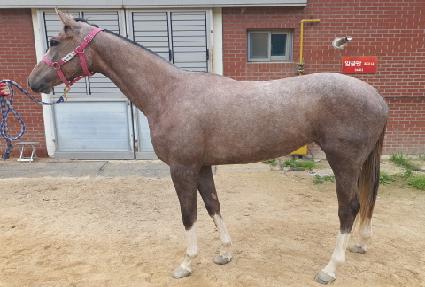 ȭ��Ʈ�� ����