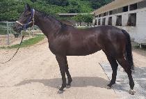 ��ƼǮ���� (BEAUTIFUL WORLD) ����