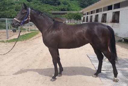 ��ƼǮ���� ����