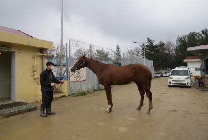 ��Ŭ������ŷ ����