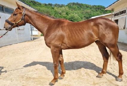 �ݾƱ۸��� ����