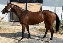 ��������� (MAGIC AGAIN) ����