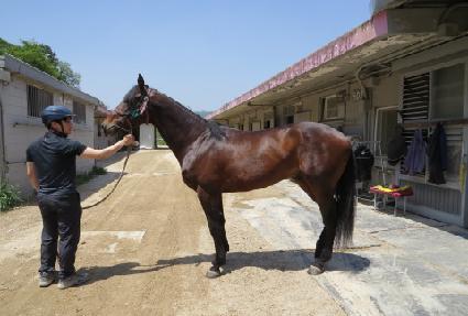 ��������� ����