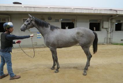 ��׿��� ����