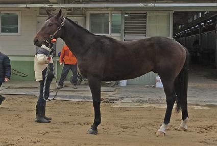 è�Ǿ��ʵ� ����