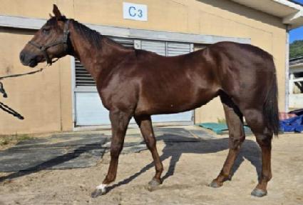 ����Ǯ��� ����