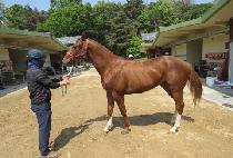 ���̾���Ʈ (RYAN HEART) ����