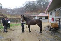 ť�ǵ��÷� (CUPID COLOR) ����