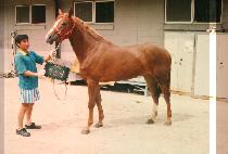 ���߼� (BAEK JOONG SE) ����