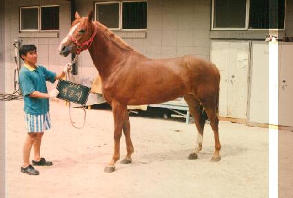 ���߼� ����