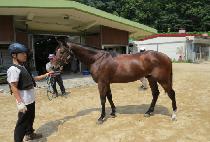 �����鼭�� (NONSTOP SERVE) ����